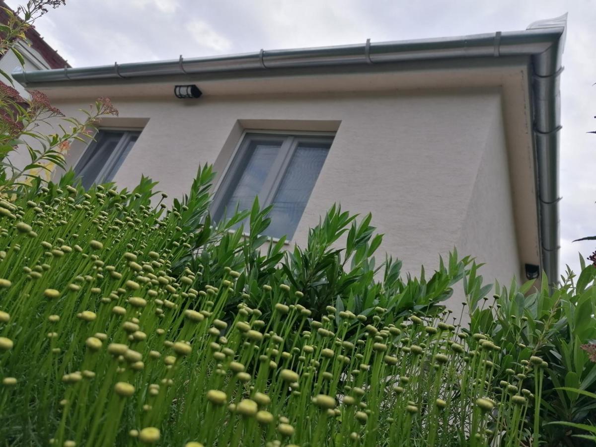 Levelke Mini Apartman Gárdony Exterior foto